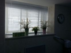 -薇兰专业脱毛连锁机构