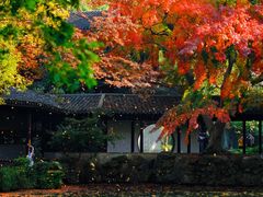 -惠山古镇·寄畅园