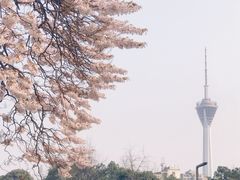 -红星桥(地铁站)