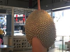 -都念榴莲·城市榴莲