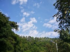 -火炉山森林公园