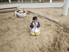 -金宝幼儿园(通州校区)