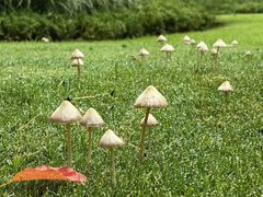 -上海共青森林公园