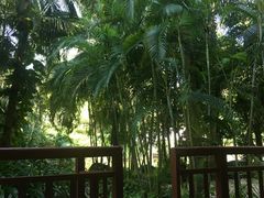 -三亚亚龙湾雅高美爵酒店