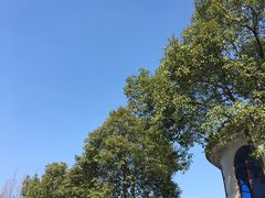 -上海市公安局交通警察总队车辆管理所三分所