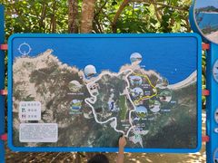 -广东惠东海龟国家级自然保护区