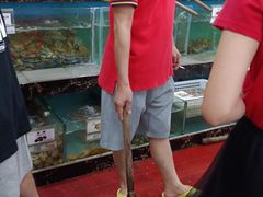 -源海渔村·现捞海鲜(大角湾店)