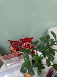 -重庆联合丽格第五医疗美容医院