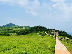 -白草畔自然风景区