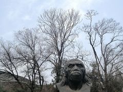 -周口店北京人遗址公园