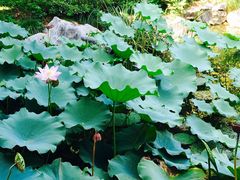 -乌镇望津里精品酒店