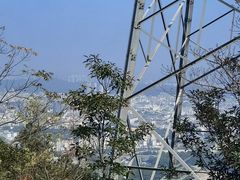 -阳台山森林公园