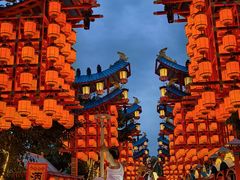-特克斯八卦城