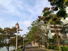 -佛山市第一中学