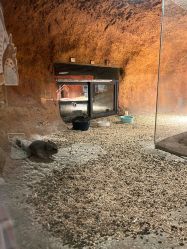 -酷嗒动物文化乐园(cutezoo西溪乐天城店)