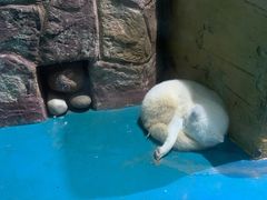 -大连圣亚海洋世界