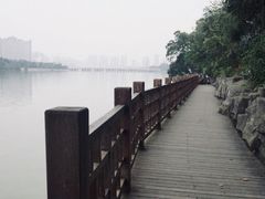 -南宁南湖公园