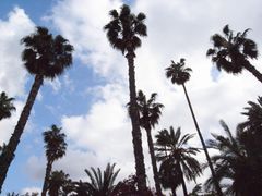 -马洛雷勒花园