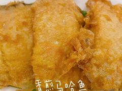 -华梅西餐厅(哈尔滨中央大街店)