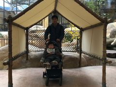 -杭州开元森泊度假乐园