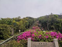 -梧桐山风景名胜区