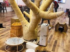 -袖虎·猫馆(体育西路店)