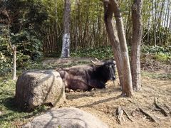 -茅山东方盐湖城景区