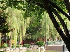 -唐城墙遗址公园