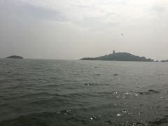 -东方明珠国际旅行社有限公司