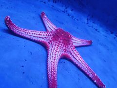 -沈阳海洋探索中心