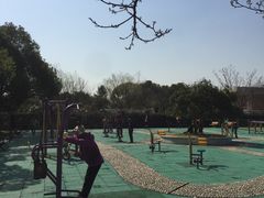 -闵行体育馆-停车场