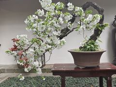 -成都杜甫草堂博物馆
