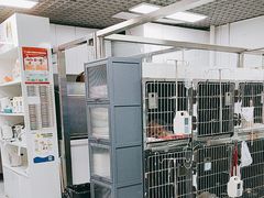 -达爱动物医院·犬猫分区·CT·复杂眼科(远洋山水分院)
