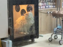 -老吴的猫·猫舍(新区店)