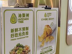 -油梨树AVOCADO TREE(望京店)