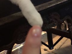 -Anne猫窝咖啡屋