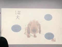 -华兴日语学校(总校)