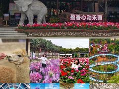 -盈香心动乐园