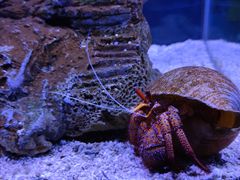 -太平洋海底世界