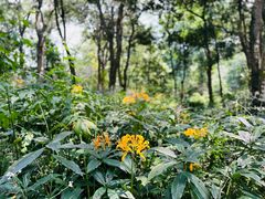 -杭州植物园