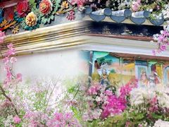 -深圳国际园林花卉博览园