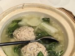 -丁老爷子苏香圆