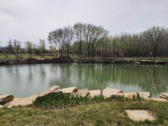 -羊亭河湿地公园