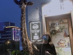 小而精致的店门口-秀儿家の小确幸花园西餐厅