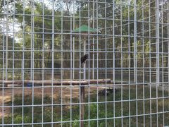 -秦皇岛野生动物园