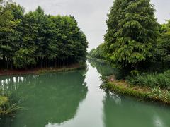 -贡湖湾湿地公园