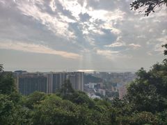 -宝安西湾红树林湿地公园