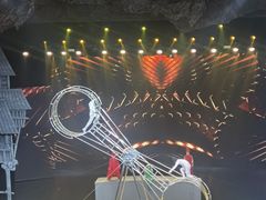 -重庆国际马戏城