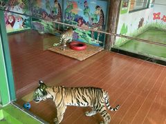 -杭州野生动物世界