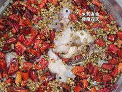 -天天沸腾(东港路店)